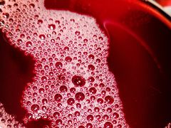 -原食日记(合生汇购物中心店)