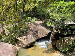 -广州白江湖森林公园