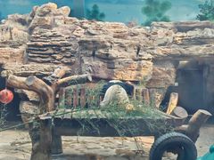 -石家庄市动物园