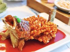 -松鹤楼·非遗·苏帮菜(融科店)