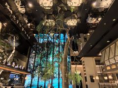 -桂满陇·海市蜃楼·黑金(国金店)