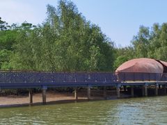 -东寨港红树林旅游区