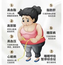 -Fundi张玉珊修身堂·indiba·BTL科技瘦身