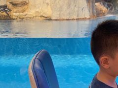 -帝企鹅自助餐厅•儿童岛•真企鹅(长隆企鹅酒店)