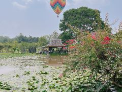 -中国科学院西双版纳热带植物园