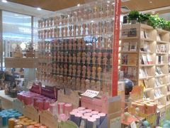 -猫的天空之城概念书店(印象城购物中心店)
