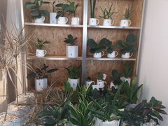 -Blueglass酸奶(财富购物中心店)