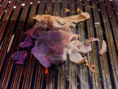 -釜山火炉·海鲜烤肉(紫藤路店)