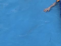 -武汉市青少年宫水上世界