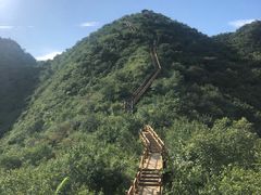 -大岭沟猕猴桃谷风景区