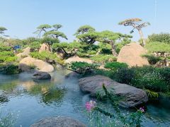 -罗红摄影艺术馆