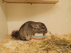 -龙猫仔乐园(惠福东路店)