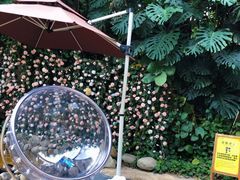 -嘉和K6温泉微度假