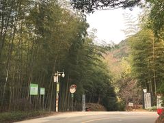 -广州市石门国家森林公园