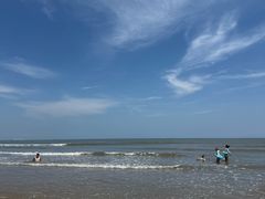 -日照海滨国家森林公园