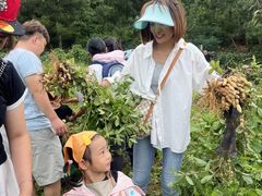 -百果山乐享果玩