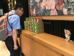 -星巴克(北京南站第二店)