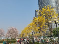 -洲头咀公园