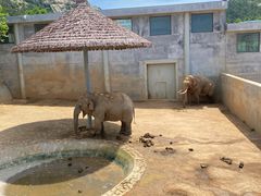 -西霞口神雕山野生动物世界