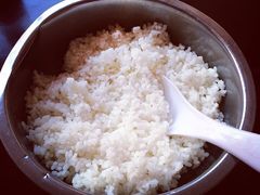 米饭-苍洱春饭店