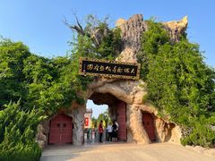 -大槐树寻根祭祖园