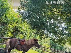 -秀丽东方