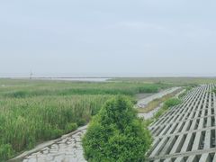 -南汇嘴观海公园