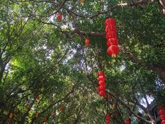 -湄洲岛