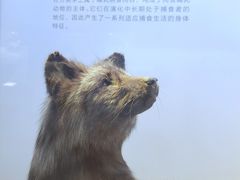 -重庆自然博物馆(新馆)