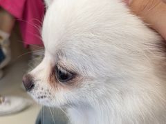 -怪兽屋·羊驼·猫咖·狗咖(俊华广场店)