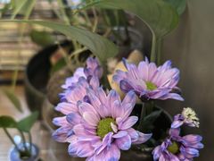 -街角 T·COFFEE 融合料理·BISTRO(车公庙店)