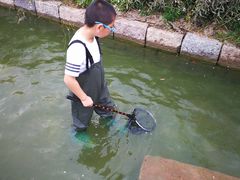 -乌村