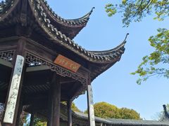-苏州太湖湖滨国家湿地公园