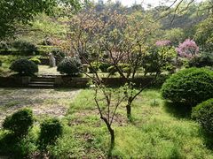 -雨花胜境