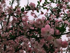 -太湖湖滨国家湿地公园-停车场