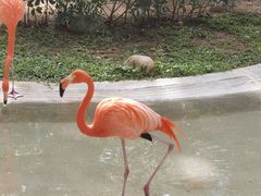 -三亚蜈支洲岛旅游区