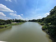 -海珠湖公园