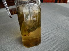 -阿斯牛牛·凉山菜(新会展店)
