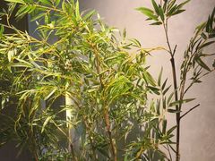 -百富源·海鲜辽菜(张士店)