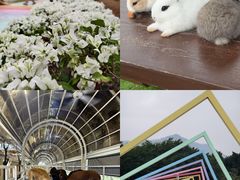 -盈香心动乐园
