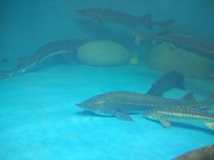 -多彩贵州城极地海洋世界