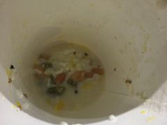 -清真老马家国华牛奶鸡蛋醪糟(正宁路店)