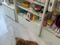 -悦宠动物医院(京丰分院)