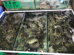 -拉威海鲜市场