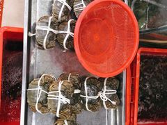 -魏四小鱼锅贴王