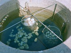 -凤翔首邑温泉度假村