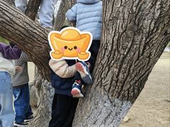 -南京市江宁方山