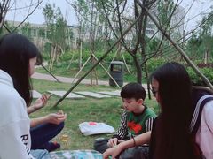 -金山植物公园