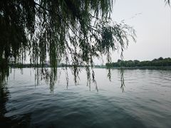 -济南大明湖景区