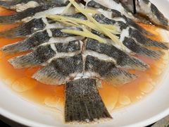 多宝鱼-粗茶淡饭·蒸鲜(光谷店)